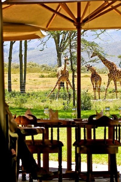 Chui Lodge Naivasha Kenya