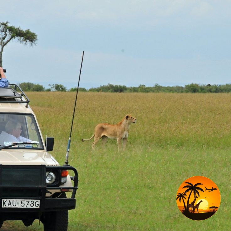6 Days Maasai Mara & Amboseli Safari – Kenya